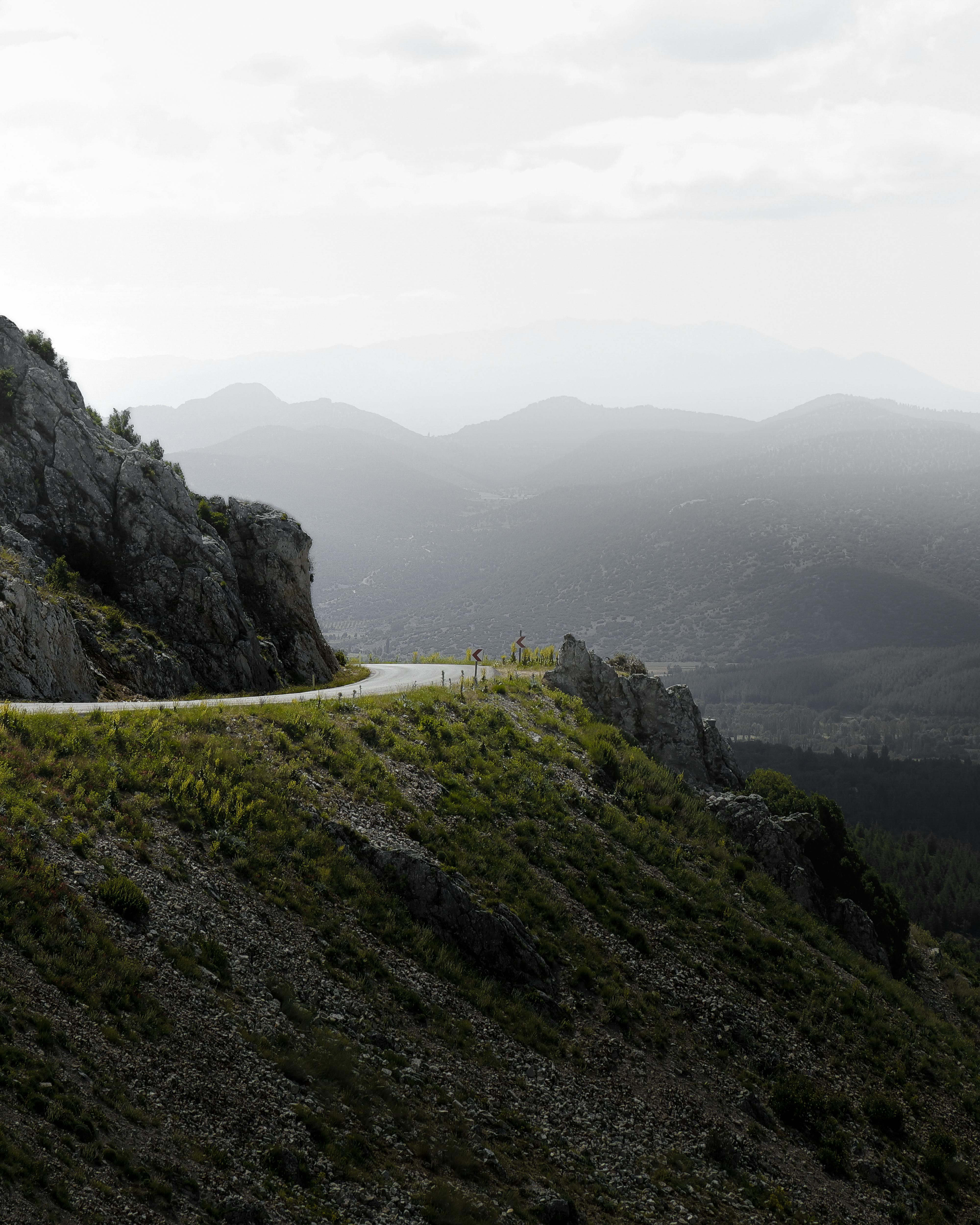 Q4 Roadmap